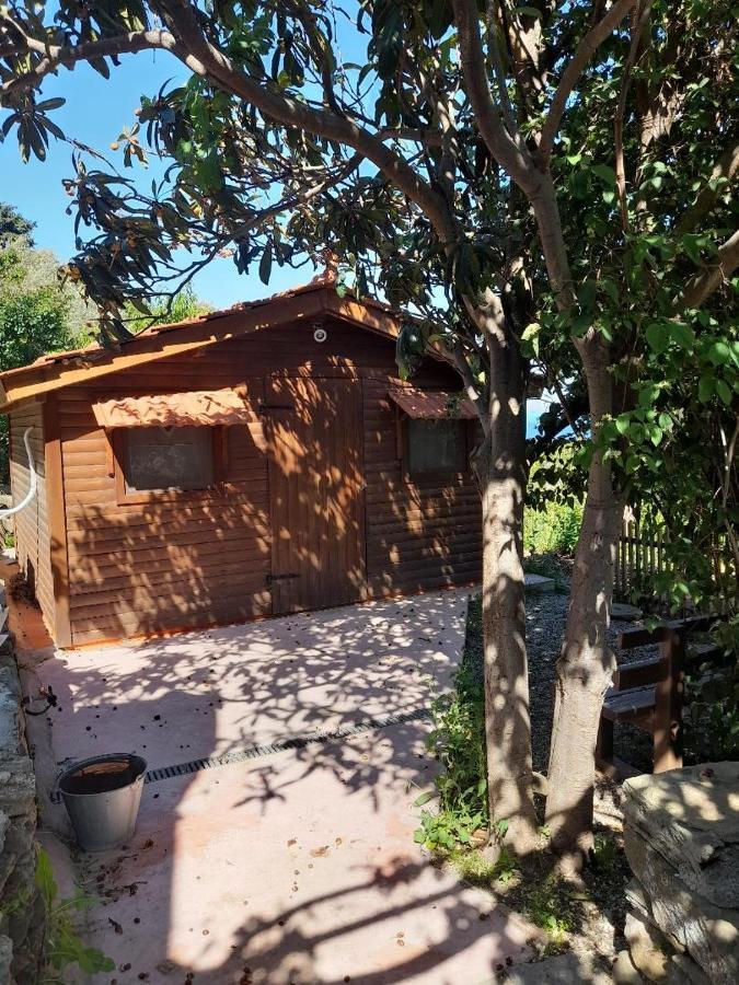 Casa Di Patouria , Stenies Andros Apikia  Exteriér fotografie